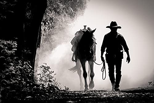 WILDE WESTEN Fototapete VLIES-500x280 cm (4444A)-Pferde Pferd Wald Saloon Western Cowboy Wandtapete-Inkl. Kleister-Vliestapete Bild Dekoration Wand-Dekor Moderne Motiv-Tapete Panorama Poster XXL