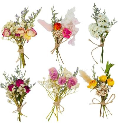 TPZORJX 6pcs Mini Bouquet di Fiori Secchi Naturali - Fiori Essiccati Naturali Decorativi Mazzi di Fiori Secchi Fiori Misti per Decorazione Regalo DIY Scrapbooking Resina Decorazione di Nozze