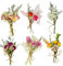 TPZORJX 6pcs Mini Bouquet di Fiori Secchi Naturali - Fiori Essiccati Naturali Decorativi Mazzi di Fiori Secchi Fiori Misti per Decorazione Regalo DIY Scrapbooking Resina Decorazione di Nozze