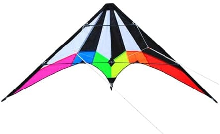 TWTCZOZ Aquiloni da Kitesurf, Due Cavi per Adulti, per Escursioni, Giardino, Spiaggia, Campeggio