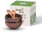 Bella Tree® Set of 2 Coconut Bowls with 2 Wooden Spoons