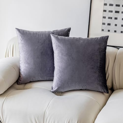 Demetex Set di 2 federe per cuscini grandi, 65 x 65 cm, decorative, viola, per divano, in velluto, per compleanno, anniversario, soggiorno, 65 x 65 cm, colore: lavanda
