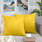 FULDGAENR Samt-Kissenbezüge, 55,9 x 55,9 cm, 2er-Set, für Couch, Sofa, Zitronengelb, gemütlich, dekorative Kissenbezüge, quadratisch, 55,9 x 55,9 cm, weiche, solide Kissenbezüge für Heimdekoration