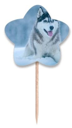 Cupcake-Picker mit Hundemotiv, Schnee, Husky, Zahnstocher, Flaggen, Stern-Etikett, Cupcake-Picks