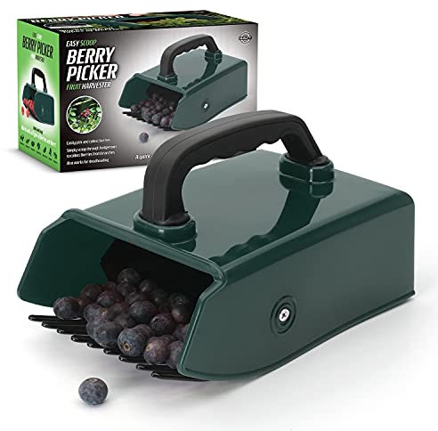 CKB LTD Raccoglitore di bacche in plastica e metallo con impugnatura ergonomica in gomma. Ideale per il giardinaggio, la raccolta di frutti di bosco, more, mirto, piccoli frutti da giardino. Verde