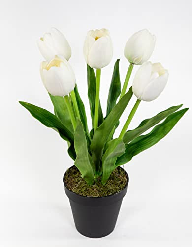 Seidenblumen Roß Künstliche Tulpen PU Real Touch 36cm weiß im Topf ZF Kunstblumen künstliche Blumen Tulpen