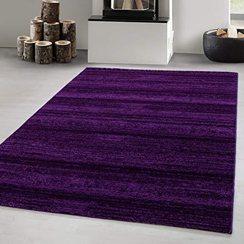 Carpetsale24 Teppich 240x340 cm Lila Kurzflor Einfarbig Großer Teppich für Wohnzimmer Schlafzimmer Flur Küche Esszimmer Kinderzimmer Pflegeleicht Weich