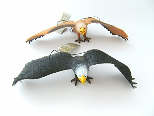 Adler Hartgummi 2erSet je 33 cm neu Weißkopfseeadler Vogel Vögel Greifvögel Tiere Spielen