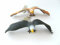 Adler Hartgummi 2erSet je 33 cm neu Weißkopfseeadler Vogel Vögel Greifvögel Tiere Spielen
