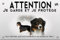 Pets-easy Attenzione al cane Pastore australiano Tricolor