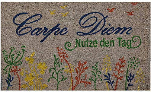 Bestgoodies graue Kokosfaser Fußmatte 50x75 cm (Carpe Diem), weitere Motive erhältlich