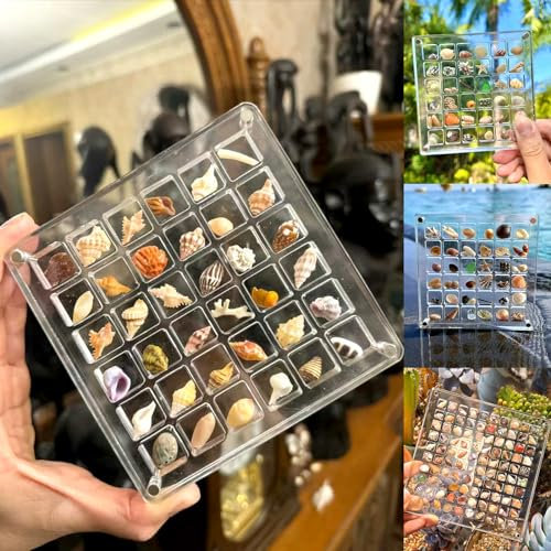 Vordpe 36 Fächer Acrylic Magnetic Seashell Display Box, Klare Muschel-Aufbewahrungsbox, Aufbewahrungsbox, Display-Organizer, Acryl-Display-Box für Muscheln, Diamanten, Edelsteine