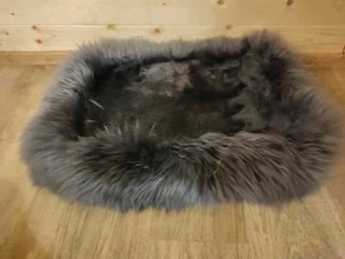 Provellus ECHT SCHAFFELL HUNDEBETT KATZENBETT Merino Fell SUPER KUSCHELIG WARM UND WEICH (Dunkelgrau, M - 60 x 40 cm)