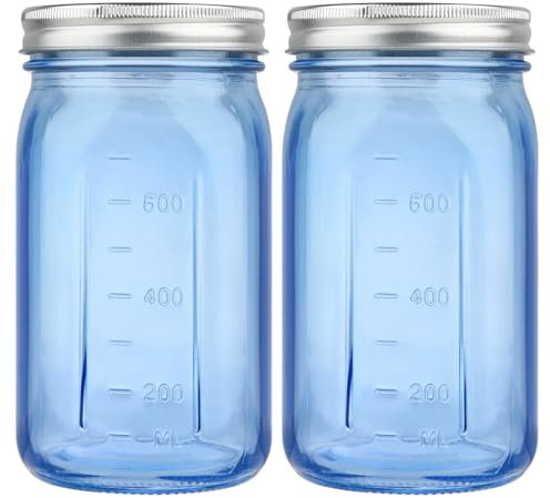 1000ml Mason Jars 2 Pack, Blue Wide Mouth Canning Jars with Airtight Lids, 32oz Glass Pint Jar with Bands Labels Brush, Large Storage Quart Jar for Jam Fermenting Preserving