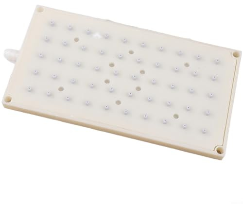 Lapiglo Soffione doccia da bagno con 50 fori, doccetta regolabile in plastica, attacco filettato da 1/2, crema