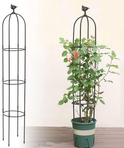 Kalolary Traliccio da Giardino Alto 6 Piedi per Piante Rampicanti Graticcio Obelisco Torre Supporto Arrampicata Metallo Antiruggine Vaso Interni Fiori all'aperto Frutta Verdura Supporto Viti (Nero)