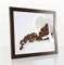 Monaldo Deluxe Bilderrahmen Posterrahmen 93 x 63 cm Eiche Dunkel Wenge Dekor Wechselrahmen weisser Hintergrund klares Kunstglas