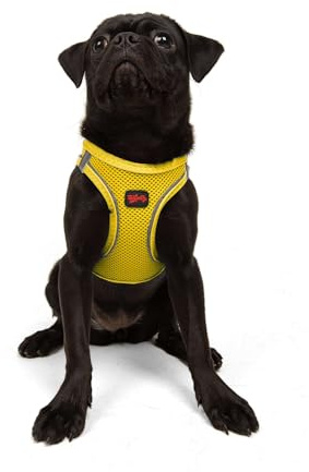 Air-Mesh Brustgeschirr für kleine und mittelgroße Katzen und Hunde – Weich, Atmungsaktiv, Strapazierfähig (Gelb, M (Brustumfang 53–59cm))