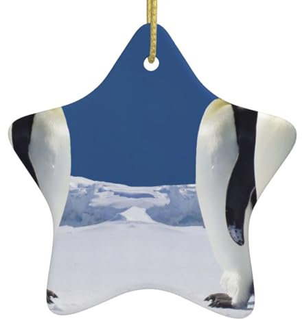 Niedlicher Pinguin-Weihnachtsschmuck Weihnachten Kreative Sternform Hängende Keramik Ornamente Weihnachtsbaum Party Dekoration