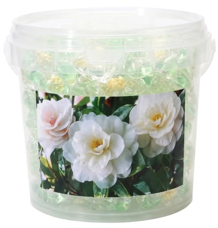 50 Waschmaschinen-Pads, 5-in-1 Kamelien-Waschmittel-Pods, konzentrierte Sauberkeit und lang anhaltende Frische, Wäsche waschen