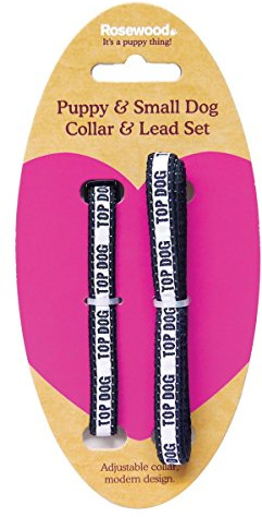 Rosewood Td Puppy Collar and Lead Set