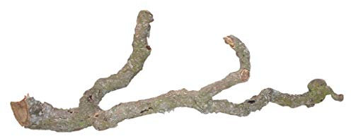 Lucky Reptile Tronchos - Korkäste, Größe:30-40 cm