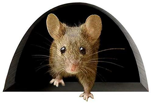 Lustiger Maus-Loch-Aufkleber-Kunst-Aufkleber,5 Stück kreative Wandaufkleber für Haustür Treppe Windows Wall Car Decor (C)