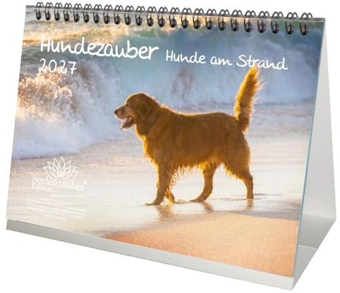 Hundezauber Hunde am Strand DIN A5 Tischkalender für 2027 Welpen und Hunde - Seelenzauber