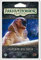 Asmodee iAHC27 Arkham Horror LCG Die Guardians des Abgrunds Kartenspiel, Single, Mehrfarbig