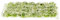 EXCEART War World Scenics Gras Gaming Base Blumen Grasbüschel Modellbau Tabletop Gelände Statische Grasbüschel Geländebau Miniatur Ornamente Eisenbahn Modellbahn Landschaftsbau Diorama Zubehör