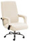 Bestenrose Bürostuhl Bezug Bürostuhlabdeckung für Die Sitzfläche Elastische Stuhlhussen mit Armlehne Hussen Bezüge Elastische Waschbar Stuhlhussen Set für Bürostuhl Computerstuhl (X-Large, Beige)