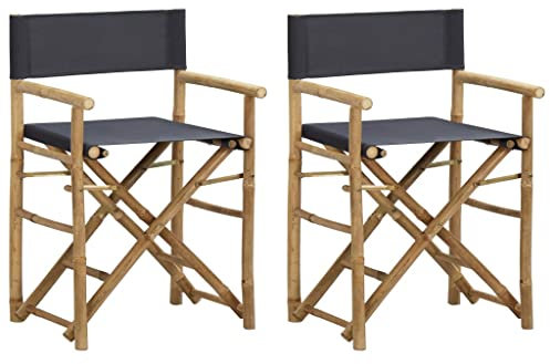 AJJHUUKI Möbelartikel Klappstuhl Regiestuhl 2 Stück dunkelgrau Bambus und Stoff