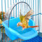 Boîte de Bain d'oiseau Jouet de Bain d'oiseau Suspendu Perruche baignoires en Cage Perroquet Baignoire Eau Douche mangeoire Support Plateau Bains d'oiseaux pour Cages à Oiseaux Accessoire