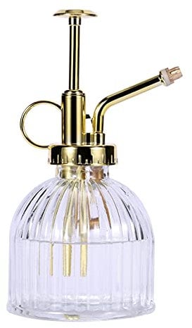 Eidoct Glass Plant Mister Spray Bottle, Clear Water Bottle with Gold Top Pump Small Watering Can, Sprayer for Indoor Outdoor House Plant, Clear+Gold (Clear+Gold A), 3.15‘’*6.5‘’, (t001)