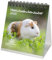 Meerschweinchenzauber Kalender für 2025 Format 10cm x 10cm Meerschweinchen - Geschenkset Inhalt: 1x Kalender, 1x Weihnachtskarte (insgesamt 2 Teile)