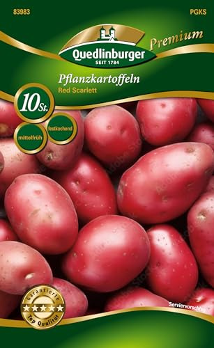 Red Scarlett Pflanzkartoffeln, Quedlinburger (10 Stück) rot, Kartoffeln