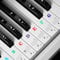 Piano Keyboard Stickers for 88/61/54/49 Key Piano Key Stickers Bold Large Letter Piano Stickers for Learning Transparent and Removable Keyboard Stickers Piano Notes Guide (Colorful)