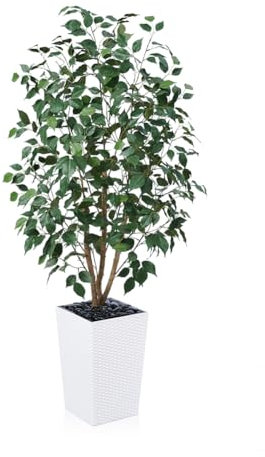VeriNatural Ficus 150 cm Grande Plante Artificielle Intérieur - Feuilles en Soie, Tronc en Bois, Pot Haut Blanc, UV Résistant Fausse Plante- Décoration intérieur extérieur pour Salon Bureau, VN129