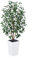 VeriNatural Artificial Ficus Tree 150 cm - Lifelike Fake Plant with Real Wooden Trunk, Green Silk Leaves - UV Resistant Faux Tree with White Taper Planter for Home Indoor and Outdoor Decoration, VN129