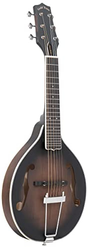 GOLD TONE MANDOLIN.GT.A SHAPE+BAG