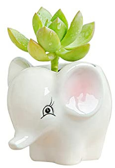 DIYOMR Cute Animal Ceramics Planter Small Succulent Pot Cartoon Shaped Plant Pot for Mini Plants Flower Cactus, Smooth Shiny Ceramic - Plants Not Included (Elephant)