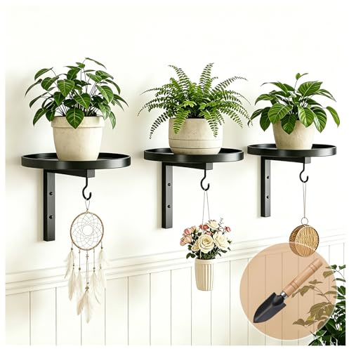 FGHDFH Wall Plant Holder with Hook, Metal Hanging Planters for Indoor Plants, Floating Flower Display Stand Plant Wall Shelves for Bedroom Living Room Porch Balcony (Black, 3PCS)