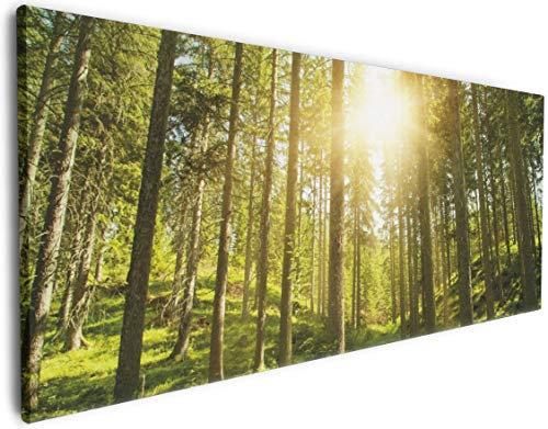 Wallario XXL Leinwandbild Sonnenstrahlen im Nadelwald mit Moos und Farn - Wandbild 60 x 150 cm Brillante lichtechte Farben, hochauflösend, verzugsfrei, Kunstdruck