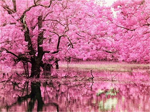 YEESAM ART DIY Ölgemälde Malen nach Zahlen Erwachsene, Rosa Baum Zahlenmalerei ab 5 Öl Wandkunst
