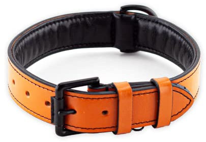Brute Strength Hundehalsband aus Leder - Orange - XL - 56-63 cm