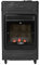 WARMGLOW Living Flame Gas Heater - Heat Adjustable 3.8KW Indoor Heaters for Home with Easy Ignition - 21mm Regulator