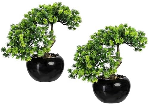 kaiserkraft | Bonsai Lärche | Behältnis-Ø 130 mm | VE 2 STK | Höhe 250 mm