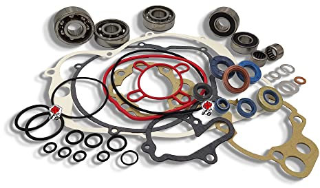 KIT REVISIONE MOTORE COMPLETO CUSCINETTI PARAOLI GUARNIZIONI MINARELLI AM 3 4 5 AM6