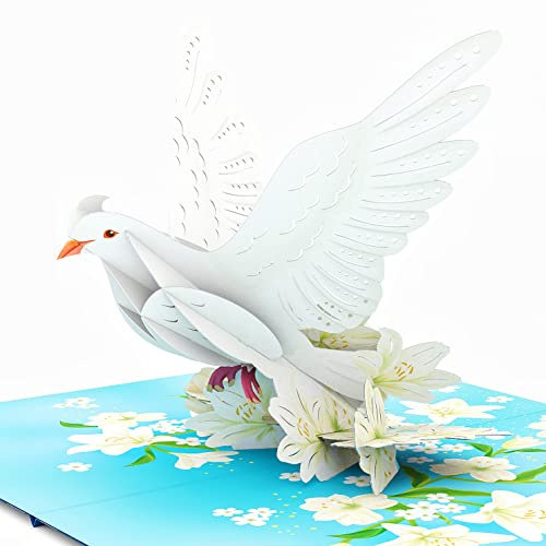Liif Weiße Friedenstaube 3D-Grußkarte, religiöse Weihnachtskarte, Beileidskarte – inspirierend, christlich, Genesung, Denken Sie an Sie, mit Nachricht, Größe 17,8 x 12,7 cm
