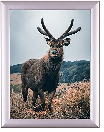 Rahmendesign24 Posterrahmen Fiona 40x40 Alu geschliffen Fotorahmen, Wechselrahmen, Bilderrahmen